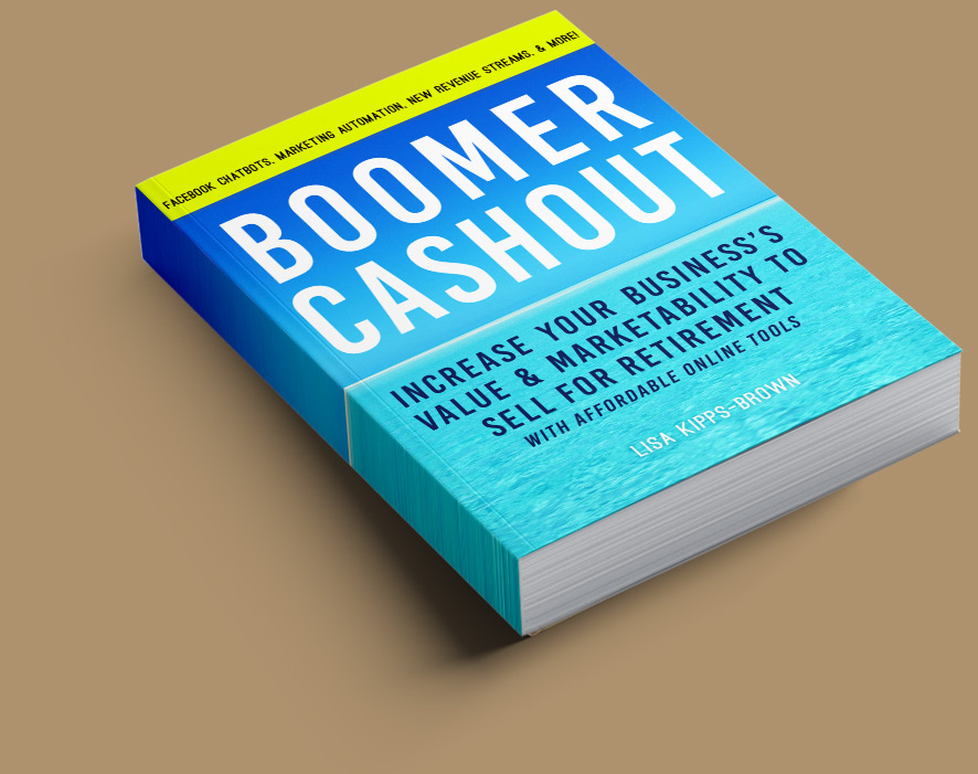 cover of Boomer Cashout book